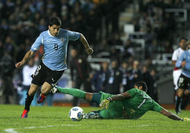 ���� - �������