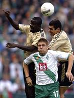 ������ - �������